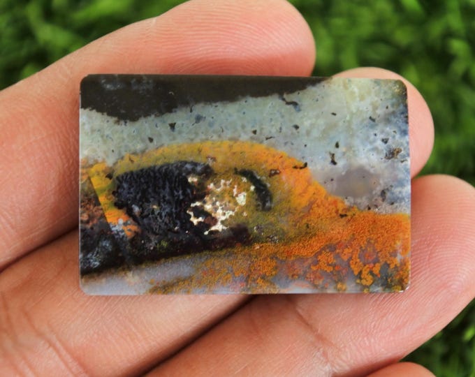 Multicolor Opalized wood