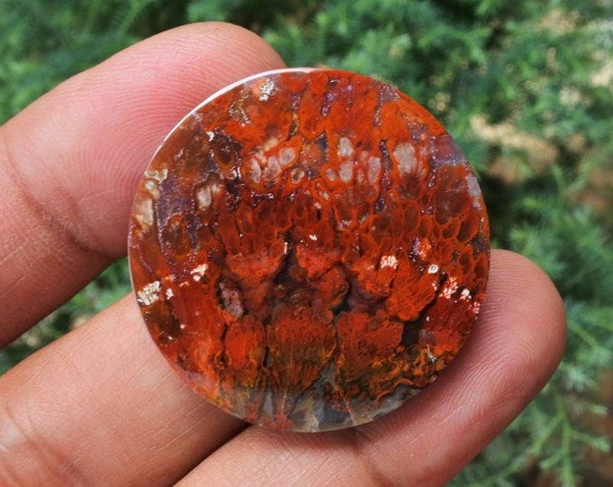 Plume Multicolor Opalized Petrified Wood