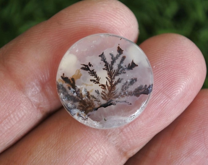 Dendritic Agate Gemstone