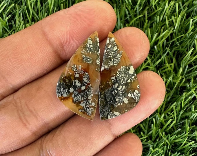 Marcasite Agate