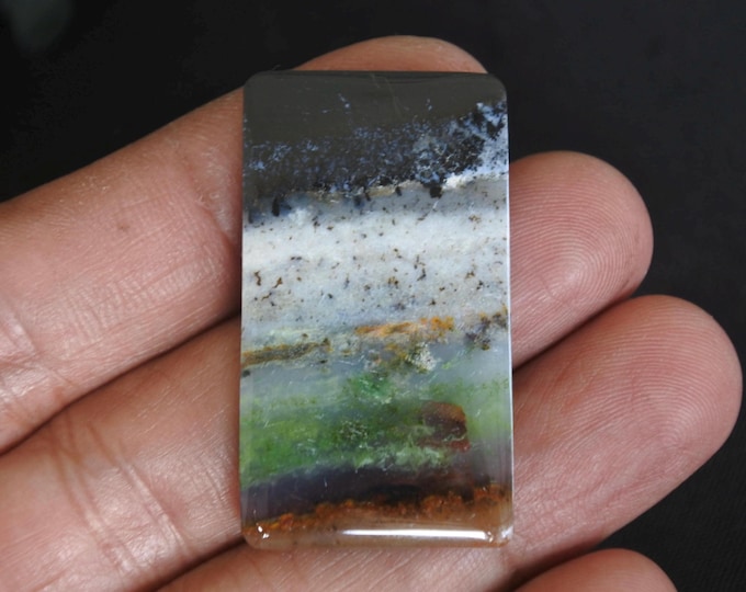 Scenic Opalized wood