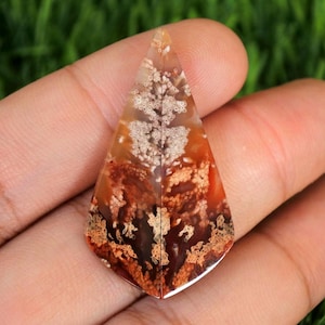 Translucent Palmroot Agate Gemstone: Multicolor Rock