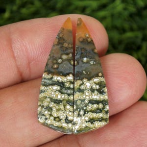 May include: Two polished gemstone slices with a triangular shape. The stones feature a mix of colors, including brown, green, white, and orange. The pattern has a layered appearance with speckled and striped details, suitable for jewelry making.