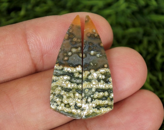 Java River Jasper,Ocean Jasper Earring Pair