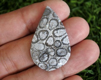 Coral Agate Gemstone, Polished Stone