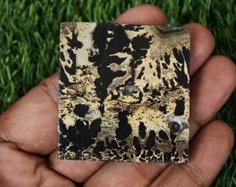 Large Dendritic Agate Gemstone Rock