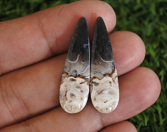 Fossilized Palmwood Earring Pair