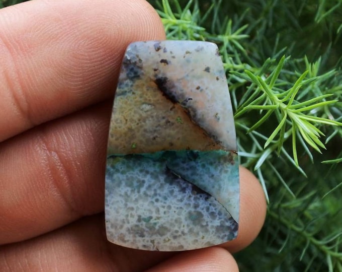 Blue Opalized petrified wood