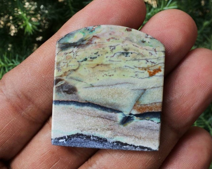 Scenic Opalized Petrified Wood