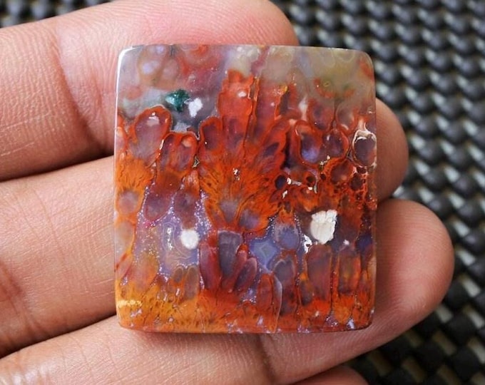 Plume Multicolor Opalized Petrified Wood