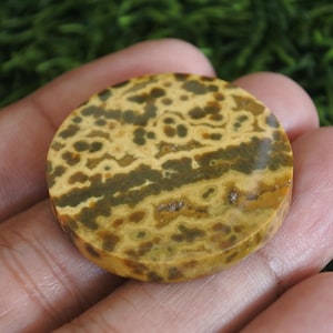 Puede incluir: Una gema redonda y pulida con un patr&oacute;n &uacute;nico de manchas y vetas de color beige, marr&oacute;n y verde oscuro. La piedra se sostiene en una mano, mostrando sus colores y texturas naturales. Esta gema podr&iacute;a usarse para joyer&iacute;a o fines decorativos.