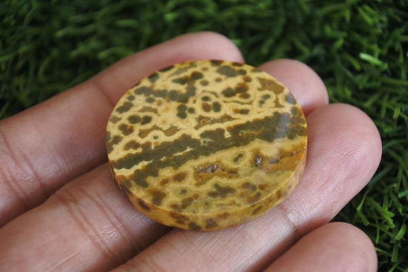 Puede incluir: Una gema redonda y pulida con un patr&oacute;n &uacute;nico de manchas y vetas de color beige, marr&oacute;n y verde oscuro. La piedra se sostiene en una mano, mostrando sus colores y texturas naturales. Esta gema podr&iacute;a usarse para joyer&iacute;a o fines decorativos.