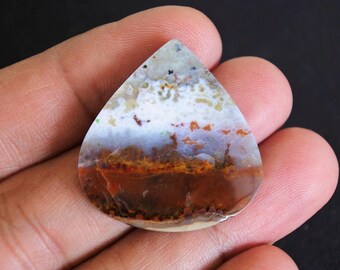 Opalized Wood