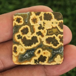 May include: A square gemstone featuring a distinctive pattern of brown, yellow, and cream hues. The polished surface reveals a natural, organic aesthetic. The intricate design resembles a mosaic or abstract landscape, with a size of approximately 2.5 cm.