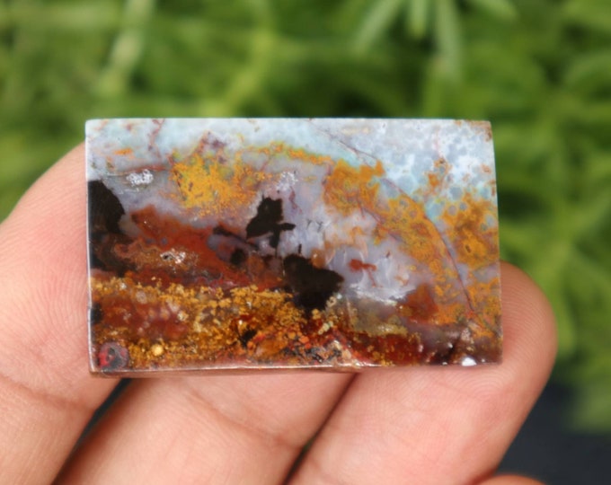 Multicolor Opalized wood