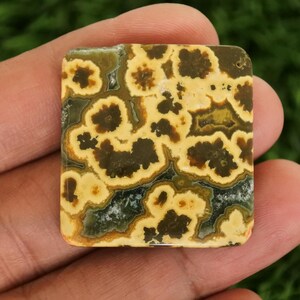 Peut inclure: Pierre pr&eacute;cieuse de forme carr&eacute;e avec un motif unique. La pierre pr&eacute;sente un m&eacute;lange de couleurs, notamment beige, marron et vert, cr&eacute;ant un design naturel et organique. La surface polie met en valeur les d&eacute;tails complexes de la pierre.