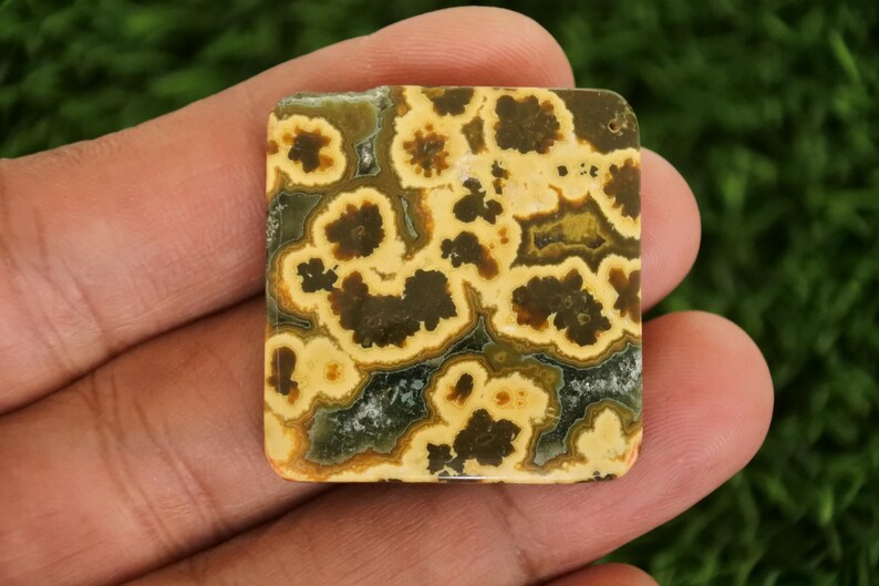 Peut inclure: Pierre pr&eacute;cieuse de forme carr&eacute;e avec un motif unique. La pierre pr&eacute;sente un m&eacute;lange de couleurs, notamment beige, marron et vert, cr&eacute;ant un design naturel et organique. La surface polie met en valeur les d&eacute;tails complexes de la pierre.