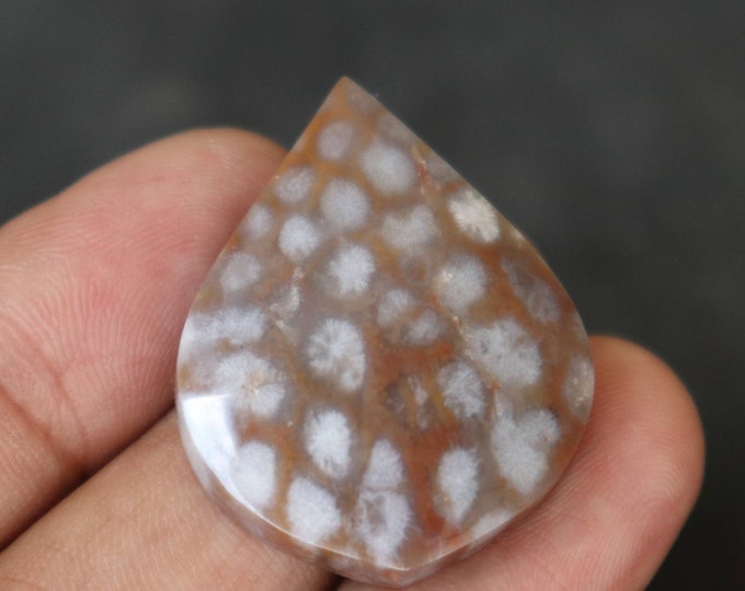 Coral agate,Agate rock,Agate stone, Malachite Gemstone,Mohs scales of mineral hardness,Agate crystal meaning,Larimar gemstone,Tree agate