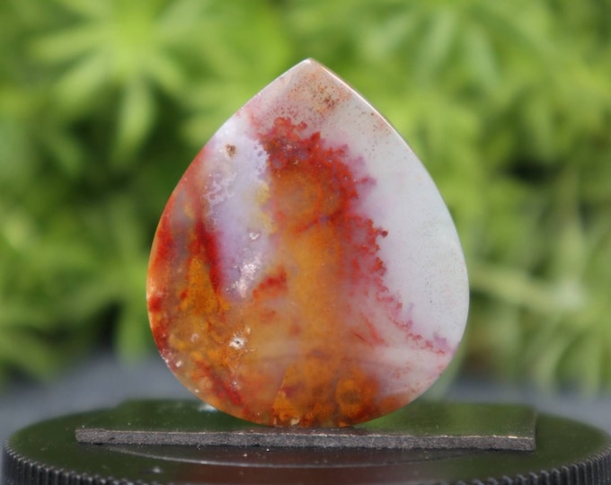 Multicolor Opalized wood