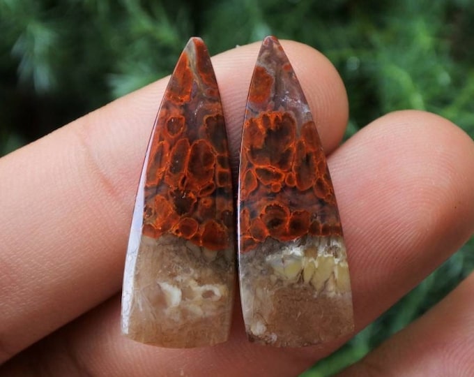 Plume Multicolor Opalized Petrified Wood Earring Pair
