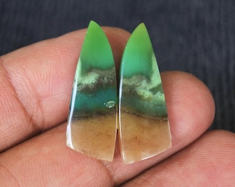 Opalized Wood Earrings