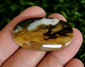 Madera petrificada opalizada