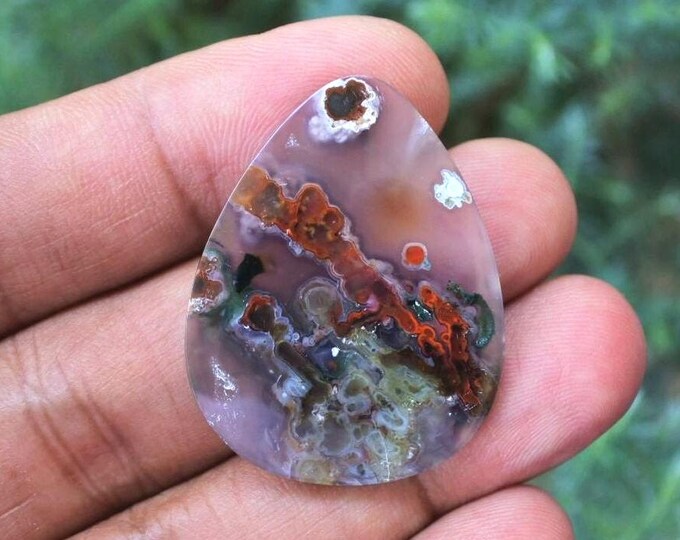 Plume Multicolor Opalized Petrified Wood