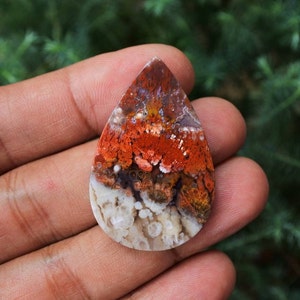 Plume Multicolor Opalized Petrified Wood