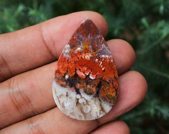 Plume Multicolor Opalized Petrified Wood