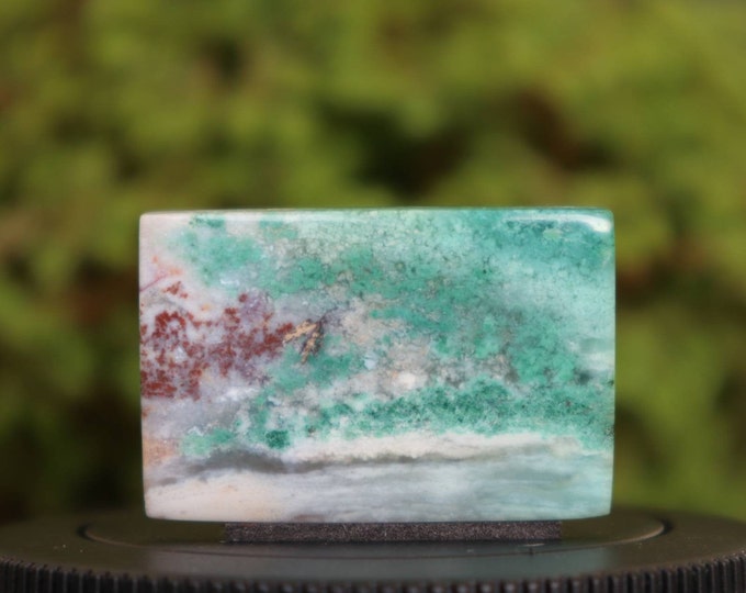 Opalized wood
