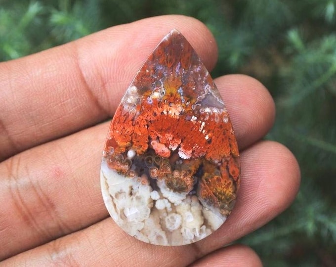 Plume Multicolor Opalized Petrified Wood