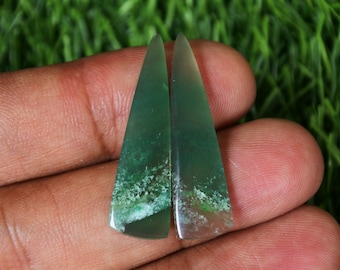 Opalized Wood Earrings