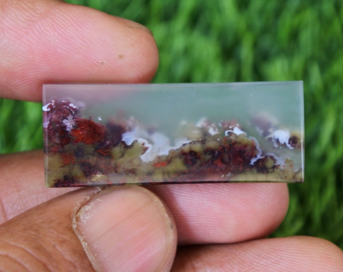Scenic Moss Agate