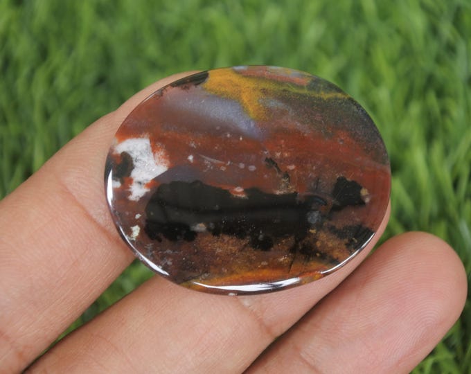 Multicolour Opalized Wood