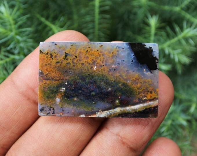 Opalized petrified wood