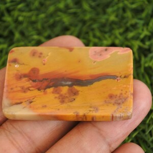 May include: A rectangular polished gemstone cabochon featuring a warm color palette of mustard yellow, burnt orange, and cream. The stone displays natural organic inclusions, including dark brown dendritic patterns and soft pinkish-peach patches.