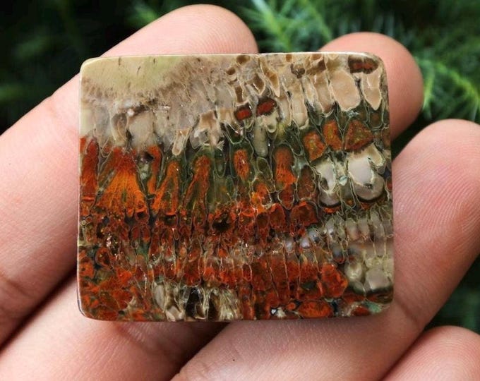 Plume Multicolor Opalized Petrified Wood