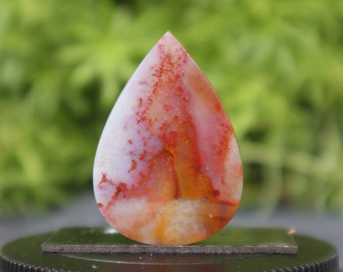 Multicolor Opalized wood