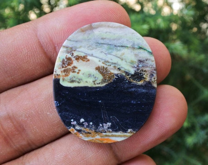 Scenic Opalized Petrified Wood
