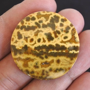 Puede incluir: Una gema redonda y pulida con un patrón único de manchas marrones y verde oscuro sobre un fondo amarillo-beige. La piedra se sostiene en una mano, mostrando su belleza natural y su intrincado diseño. Ideal para la fabricación de joyas o coleccionar.
