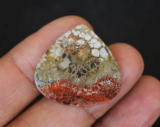 Plume Multicolor Opalized Petrified Wood