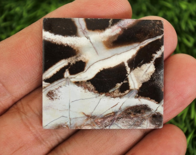 Unique Pattern Petrified Wood