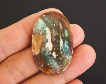 Opalized Petrified Wood