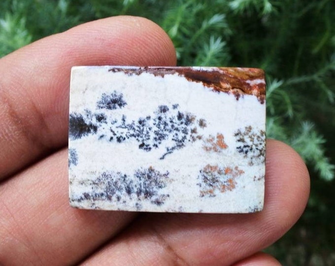 Multicolor Opalized wood