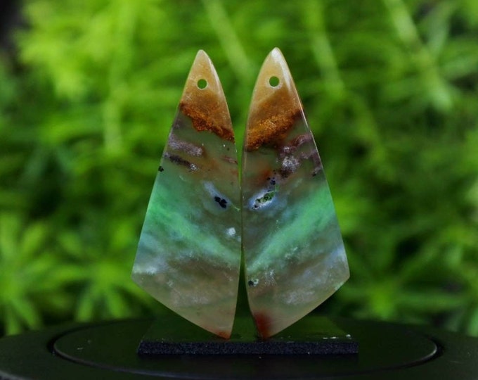 Opalized Wood Earring Pair