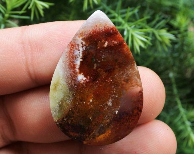Blue Opalized petrified wood