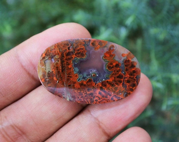 Plume Multicolor Opalized Petrified Wood