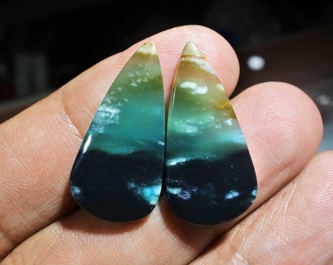 Blue Opalized Wood Earring Pair