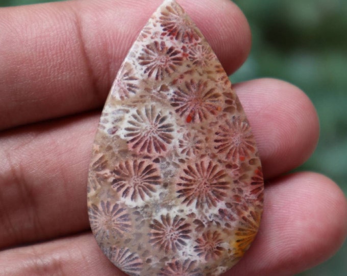 Coral agate,Agate rock,Agate stone, Malachite Gemstone,Agate crystal meaning,Larima gemstone,Flower agate,Tree agate,Fire agate