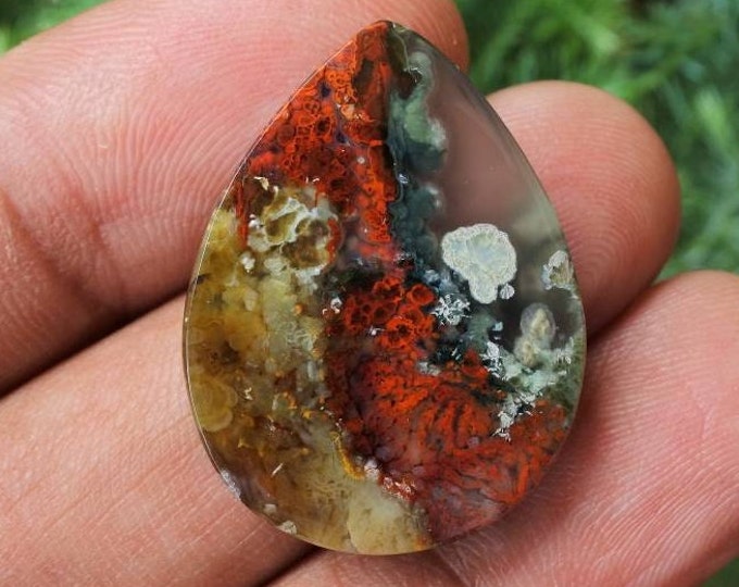 Plume Multicolor Opalized Petrified Wood